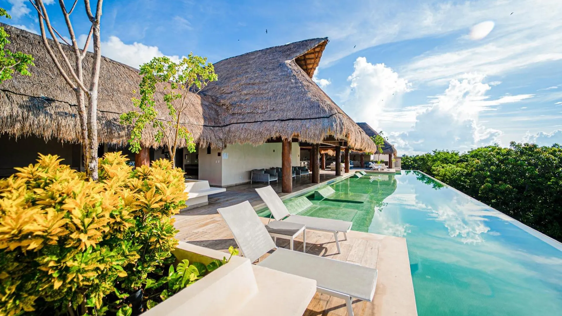 Luxury Beach Apartment In The Most Exclusive Area Of Tulum Mexico