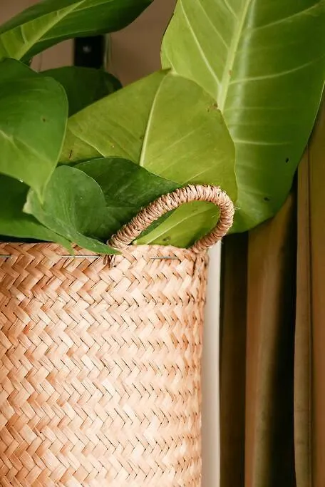 Luxury Beach Apartment In The Most Exclusive Area Of Tulum