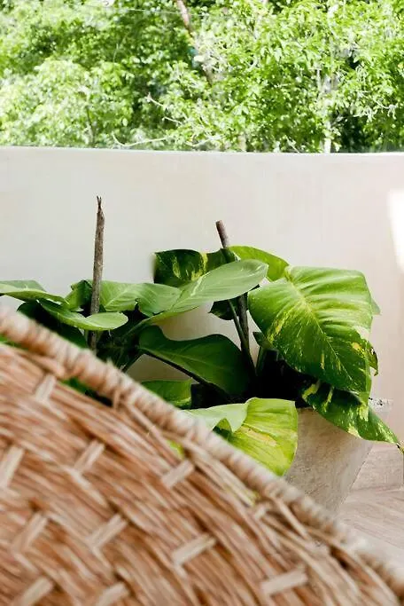 Luxury Beach Apartment In The Most Exclusive Area Of Tulum